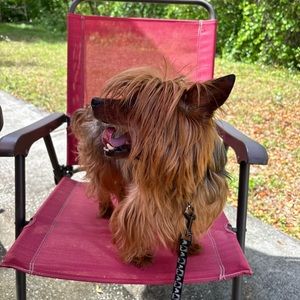 04/5/24 Woman’s Clothes Share Show (Yours and Mine!!!!